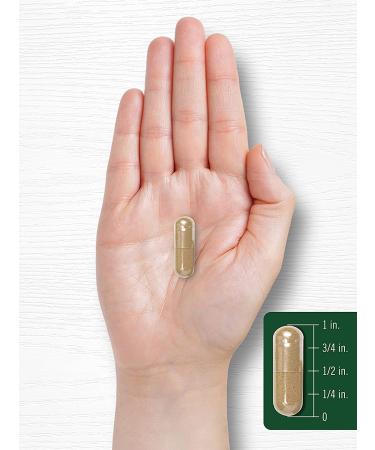 Artichoke Extract Capsules 8000mg | 200 Count | Non-GMO & Gluten-Free Supplement - Buy Online on GoSupps.com