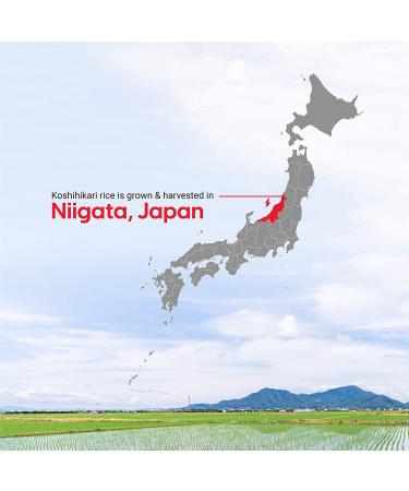 Iris USA Inc. Koshihikari Niigata Japanese Premium Short Grain White Rice 3 lbs - Product of Japan - Buy Online on GoSupps.com