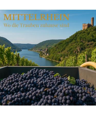  LEONARDINO NatuRhein LORELEY Germany OPC Grape Seed Extract - High Dosed from Premium Wine Grapes - 180 Vegan Capsules - Natural & Pure OPC - Lab Tested in - Buy Online on GoSupps.com