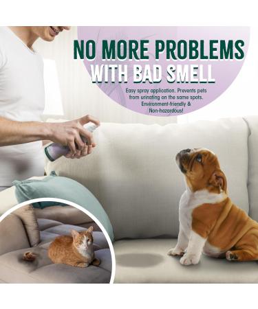 Organic Odor Remover for PETS | Unscented Vegan & Eco-Friendly | Ideal Pet Spray Odor Eliminator for Dog & Cat Urine | Removes Odor from Urine Feces & Vomit | Made in Germany | 500 ML - Buy Online on GoSupps.com