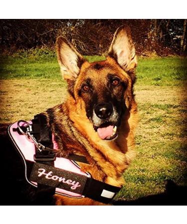 Custom Labels for Julius K9 - Pair of Interchangeable Size Patches - Black - Easy to Use with Julius K9 Harnesses - Reflective - Logo Illustration - Product Information - Powerharnesses Compatible - Buy Online on GoSupps.com