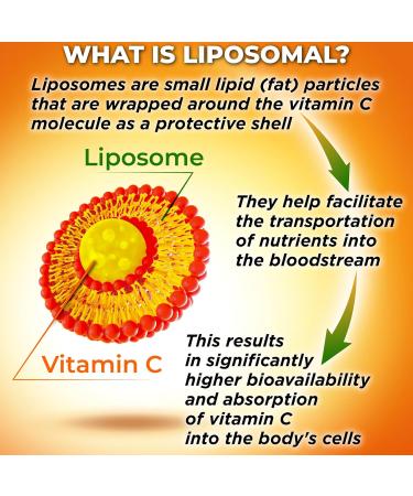 Complete Plant-Based Antioxidant & Immune Support Bundle - Liposomal Vitamin C 1500mg + Liposomal Glutathione 500mg + Quercetin with Bromelain Zinc & Vitamin C Vegan Enhanced Absorption Formulas - Buy Online on GoSupps.com