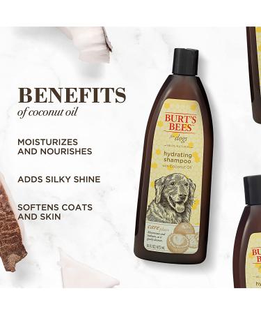 Burt's Bees Dog Shampoo with Coconut Oil | Hydrating Care Plus+ 16 fl oz - Buy Online on GoSupps.com