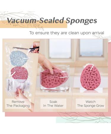 Spongentle 2-Pack Ultra Soft Body Loofah Sponge - Natural Colors, Gentle Cleansing & Deep Exfoliation for Bath & Shower - Buy Online on GoSupps.com