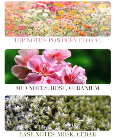 Baby Powder Natural Hair & Body Mist Spray Pure Essential and Fragrance Oils Alcohol-Free Handmade in California 0.5Fl Oz Baby Powder 0.5 Fl Oz - Buy Online on GoSupps.com