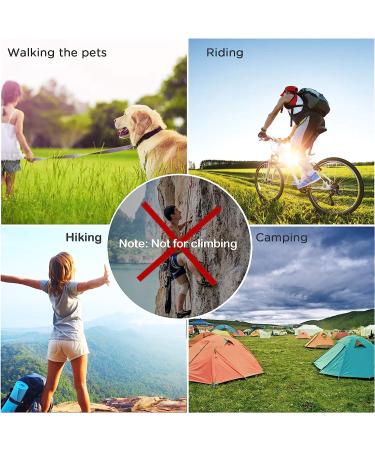 Zalava 6pcs 2D-Clip Locking Carabiner Keychain Clips in 6 Colors - Buy Online on GoSupps.com