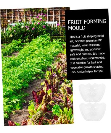 Toddmomy 4 Pcs Ingot Shaped Mold Vegetables Peach Growing Form Mold Pear Gardening Supplies Fruit Stereotypes - Buy Online on GoSupps.com
