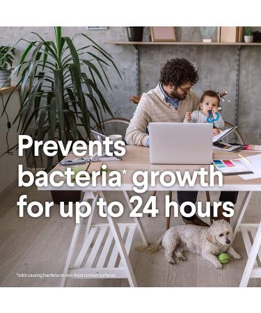 Clorox Disinfecting Wipes Value Pack - 225 Count, Bleach Free, Pack of 3 - Buy Online on GoSupps.com