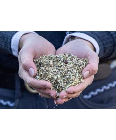 Stiefel Immune Herbs for Horses - 100% Natural Herb Blend - Immune System Support - Defence Strengthening - Promotes Health - With Rosehip - 1kg - Buy Online on GoSupps.com