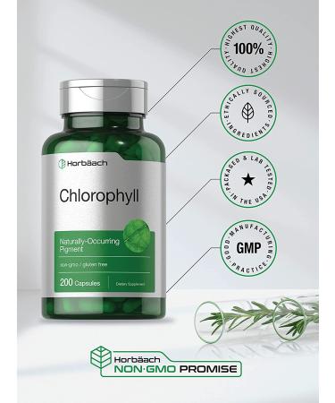Chlorophyll Capsules 200 Count - Non-GMO & Gluten Free Supplement by Horbaach - Buy Online on GoSupps.com