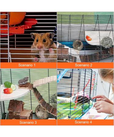 4-Piece Hamster Accessories Set | Hamster Pedal & Jumping Board with 3 Balls | Ideal for Guinea Pigs Chinchillas and Rabbits - Buy Online on GoSupps.com
