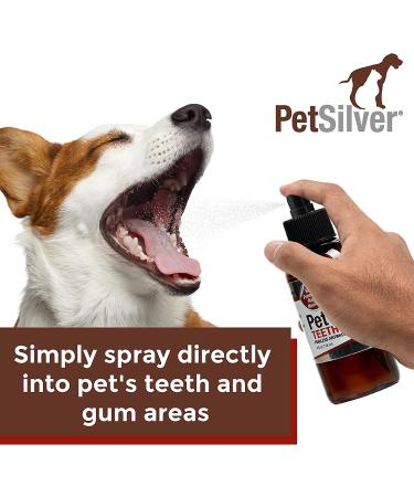 PetSilver Teeth & Gum Spray for Dogs and Cats - Chelated Silver Formula - Made in USA - 4 oz - Buy Online on GoSupps.com