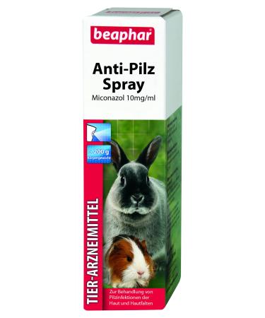 Beaphar - Anti -fungus spray for small rods - veterinary medicinal products - for the treatment of fungal infections of the skin and skin folds - 50 ml anti -fungal spray