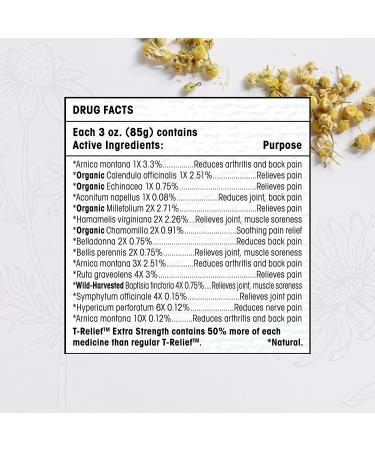 MediNatura T-Relief Extra Strength Pain Relief Cream - 3oz with Arnica & 12 Natural Pain Relievers - Buy Online on GoSupps.com