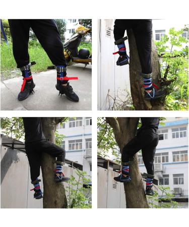 Tree Climbing Spike Set - Adjustable Safety Belt with Lanyard Rope and Rescue Gear - Blue Color - ET-OUTDOOR002-RAW - Buy Online on GoSupps.com