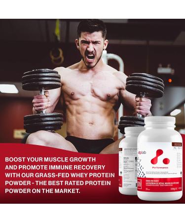 ATP LAB - Grass Fed Whey Protein Powder 1.8kg (Chocolate Flavour) - Whey Protein Concentrate - Immune Recovery Muscle Growth Dark Chocolate - Buy Online on GoSupps.com