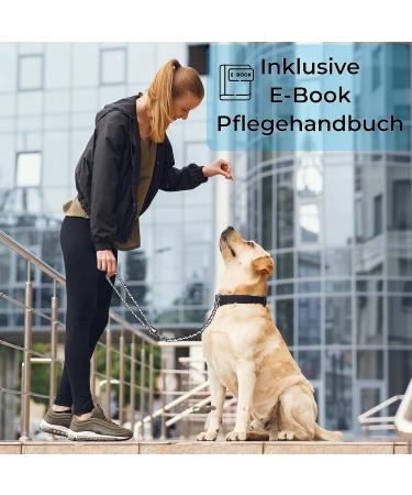 Reflective 2m Adjustable Dog Leash - Weatherproof & Tearproof Paracord for Small to Large Dogs (Up to 15kg) - Very Good Test Grade - White/Black - Buy Online on GoSupps.com