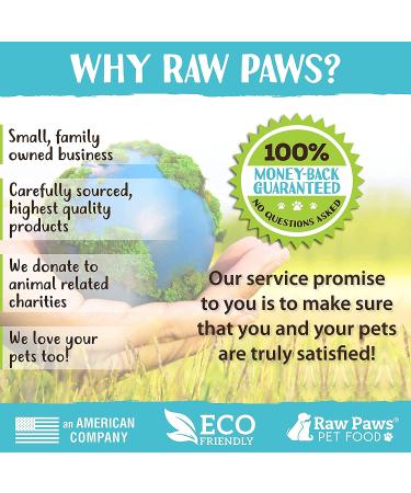 Raw Paws Pet Hand-Held Rubber Tipped Pin Brush for Dogs & Cats - Shedding & Grooming - Suitable for Large & Small Dogs - Short & Long Hair - Buy Online on GoSupps.com