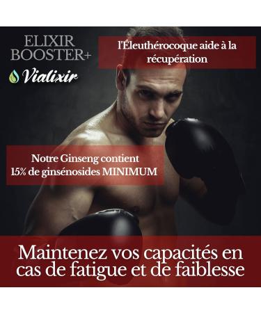 Panax Korean Red Ginseng | Extra Strong 6000mg/day 60 Capsules | Energy Vigor Blood Circulation Concentration | Ginseng (10:1 Ratio) + Eleutherococcus + Rhodiola | French Quality - Buy Online on GoSupps.com