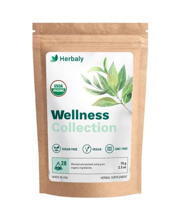 Herbaly Wellness Collection Organic Herbal Ginger Tea, 70 g, 28 Count Bag (Pack of 1) 28 Count (Pack of 1)