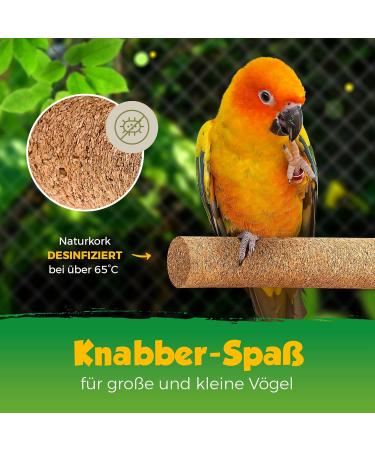 Buy 2 Set Cork Rods for Birds & Rodents - Durable Stainless Steel Seat for Budgies Canaries & Parrots - Ideal for Nibbling & Playing - Buy Online on GoSupps.com