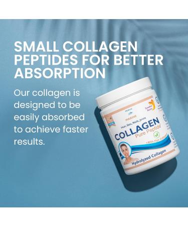 Swedish Nutra AB Swedish Nutra Hydrolyzed Marine Collagen 10000mg Powder Supplement 300g Pack 30 Day Supply Pure peptide for healthy hair skin nails and joints I 100 natural and 300 g Pack of 1 - Buy Online on GoSupps.com