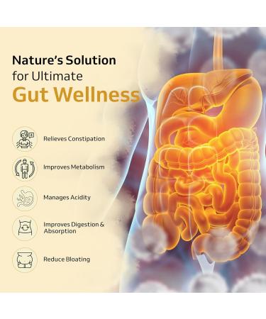 Purely Yours Nutra Gut Triphala Capsules for Gut Health Improves Metabolism Bloating Acidity & Constipation Relief Gut Cleanse for Men & Women 60 Veg Capsules - Buy Online on GoSupps.com