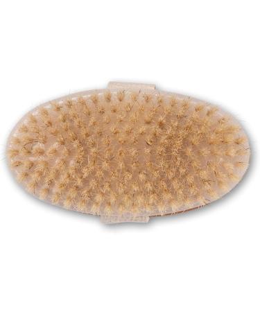 K-Pro Dry Brush Body Brush - Natural Bristles for Cellulite | Eco-Friendly Wooden Body Scrub Tool - Buy Online on GoSupps.com