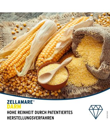  ZELLAMARE DARM Powder 250 g - Buy Online on GoSupps.com