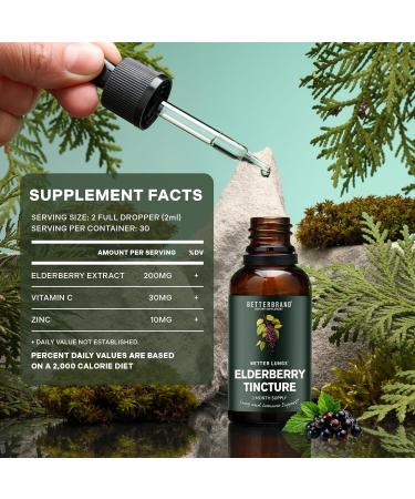 Betterbrand BetterLungs Elderberry Tincture, Natural Immune Support Supplement - Sugar-Free, Non-GMO, Alcohol Free, Vegetarian - 30 Day Supply - Buy Online on GoSupps.com