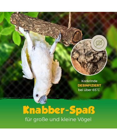 Buy Corkast Swing for Birds & Rodents | Natural Cork Play & Nibble Toy | Disinfected | 2.5-5 cm | 20 cm Width | Durable Stainless Steel Hook - Buy Online on GoSupps.com
