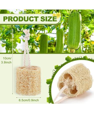 24-Piece Mini Natural Loofah Sponges for Exfoliating Shower and Spa Bath - Buy Online on GoSupps.com