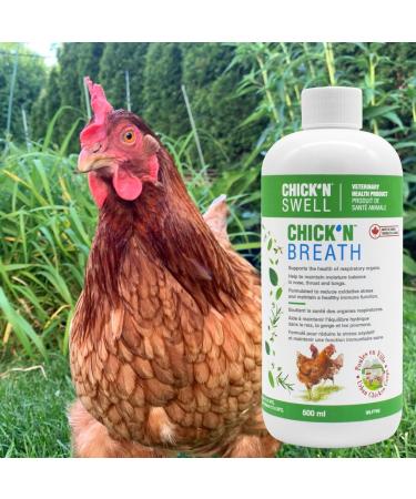 Chicken Birds and Poultry Respiratory Support -Chick'n Breath- for Poultry of All Ages - Supports Respiratory Organs. 500 ml- Made in Canada. - Buy Online on GoSupps.com