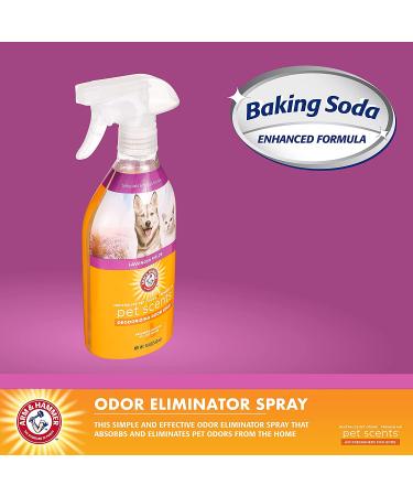 Arm & Hammer for Pets Pet Scents Room Spray 18 oz - Lavender Fields Pet Odor Eliminator - Home Air Freshener for Dog Odors - Buy Online on GoSupps.com