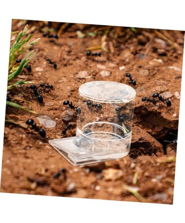 Yardwe Pet Water Feeder Ant Waterer Ant Bowl Ants Food Dispenser Ant Water Feeders Plastic Transparent - Buy Online on GoSupps.com