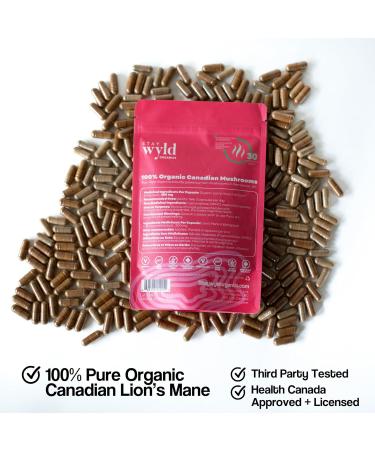 Stay Wyld Organics - Lion s Mane Mushroom Supplement Canadian Grown Lions Mane Mushroom Capsules Supplements for Focus & Clarity Natural Memory Support Organic Mushrooms 90 Capsules Pouch - Buy Online on GoSupps.com