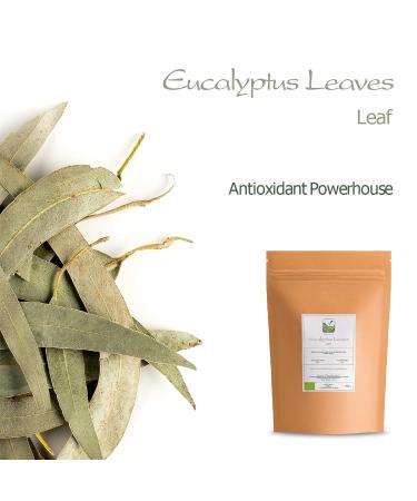 Organic Eucalyptus Losblatt Tea - Biodegradable Eucalyptus Herb Tea 100g | International Shipping - Buy Online on GoSupps.com