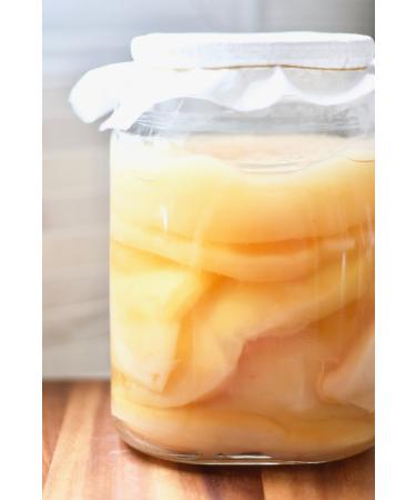 JUN TEA 5L XL Kombucha Scoby certified organic UKAS LAB tested for green tea and honey by Kombuchaorganic Quality assured excellent and unique quality cultures