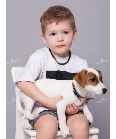 Buy Baltic Secret Bank Chain Dog with Ceramic Pipes - Amber Neck - Effective Microorganisms & Tick Protection (25-30 cm) | International Shipping - Buy Online on GoSupps.com