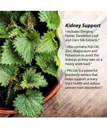 Irwin Naturals 2-in-1 Kidney & Liver Super Cleanse - 60 Softgels - Buy Online on GoSupps.com