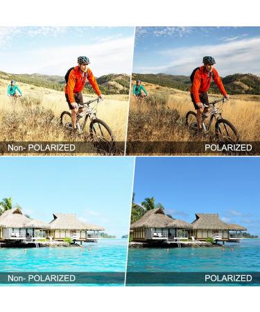 Shine Hall Polarizing Sports Sunglasses for Cycling & Fishing - UV400 Protection - Unisex Styles - Buy Online on GoSupps.com