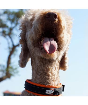 Black Rhino Comfort Collar | Neoprene Padded Dog Collar for All Breeds | Adjustable Reflective Weatherproof - Medium Orange/Black - Buy Online on GoSupps.com