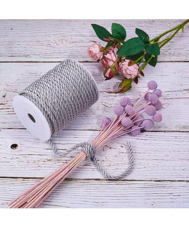 PandaHall 5mm Silver Silk Rope Twisted Cord Trim - 18 Yards | Christmas Valentine Party Decor Sewing Crafts - Buy Online on GoSupps.com