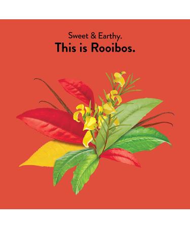 Choice Organics Organic Rooibos Tea - Fair Trade, Caffeine Free, 16 Herbal Tea Bags - Buy Online on GoSupps.com