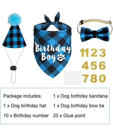 Dog Birthday Party Supplies Set - Light Blue Plaid Bandana, Hat, Bow Tie & Number for Small, Medium, Large Dogs | JOTFA - Buy Online on GoSupps.com