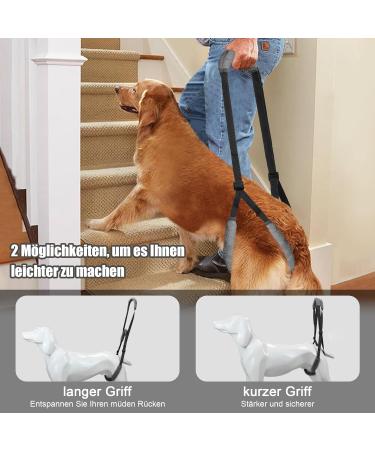 Buy Lollanda Black Walking Aid for Dogs | Support Sick & Older Dogs | Enhance Mobility with Durable Dog Dishes & Carrying Aid - Buy Online on GoSupps.com