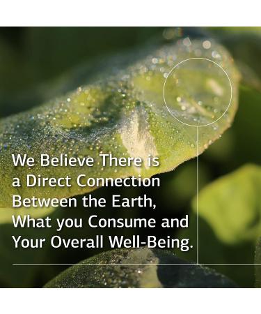 Standard Process Min-Tran - Nervous System Support & Stress Relief - 800 Tablets - Vegetarian & Gluten Free - Buy Online on GoSupps.com