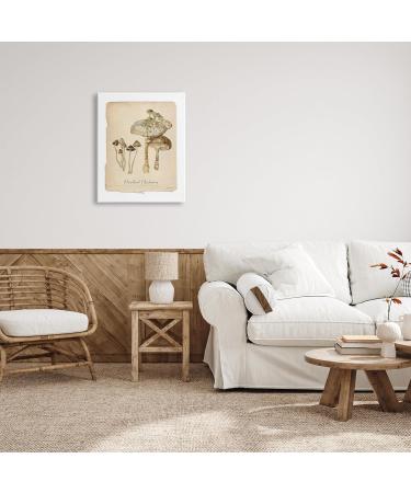 Stupell Industries Marshland Mushrooms & Frog Canvas Wall Art by Carol Robinson 24 x 30 - Buy Online on GoSupps.com
