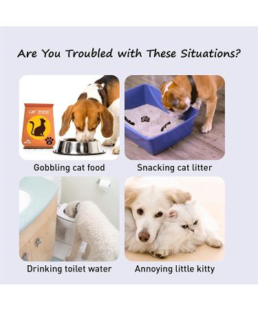 Neobay Cat Door Stopper - Interior Cat Door Alternative | Keep Dog and Baby Out of Litter Box | Easy Installation - Buy Online on GoSupps.com