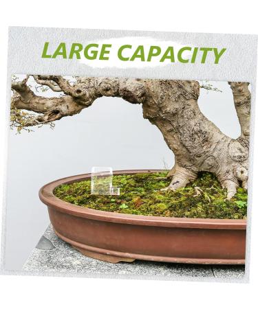 Balacoo 3pcs Pet Water Feeder Ants Waterer Cup Ants Nest Water Feeding Area Ants Feeder Plastic Large Basin - Buy Online on GoSupps.com